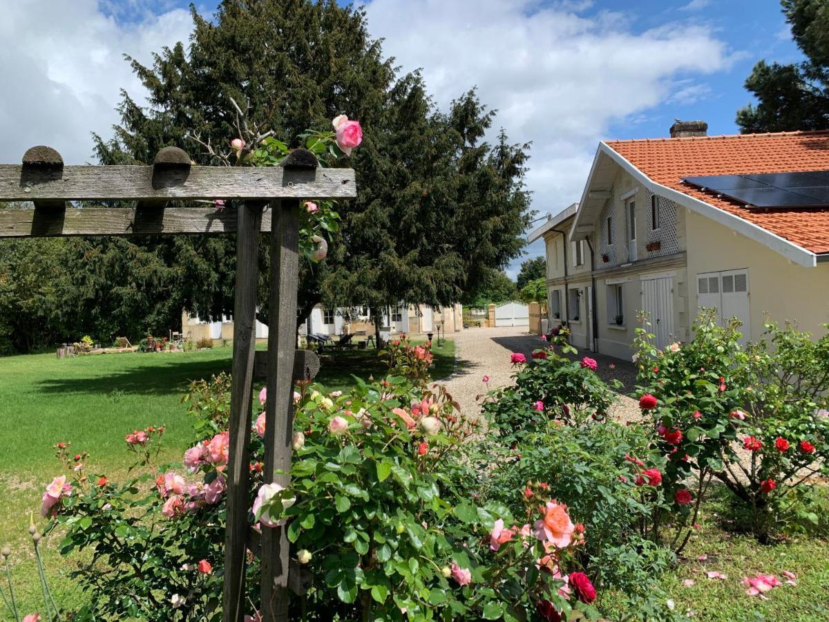 Batisse En Pierre XVII Siecle 115 M² Avec Terrasse Villa Ambares-et-Lagrave Exteriör bild